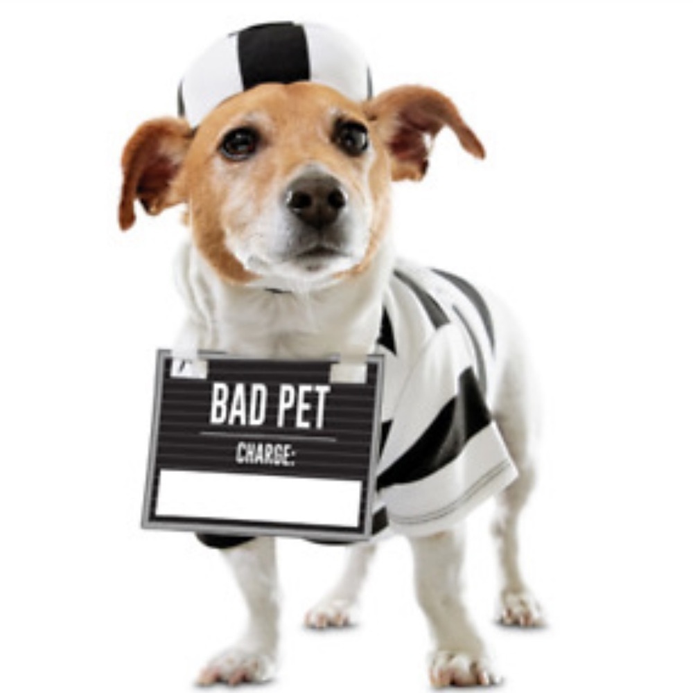 NWT Halloween prisoner dog costume L